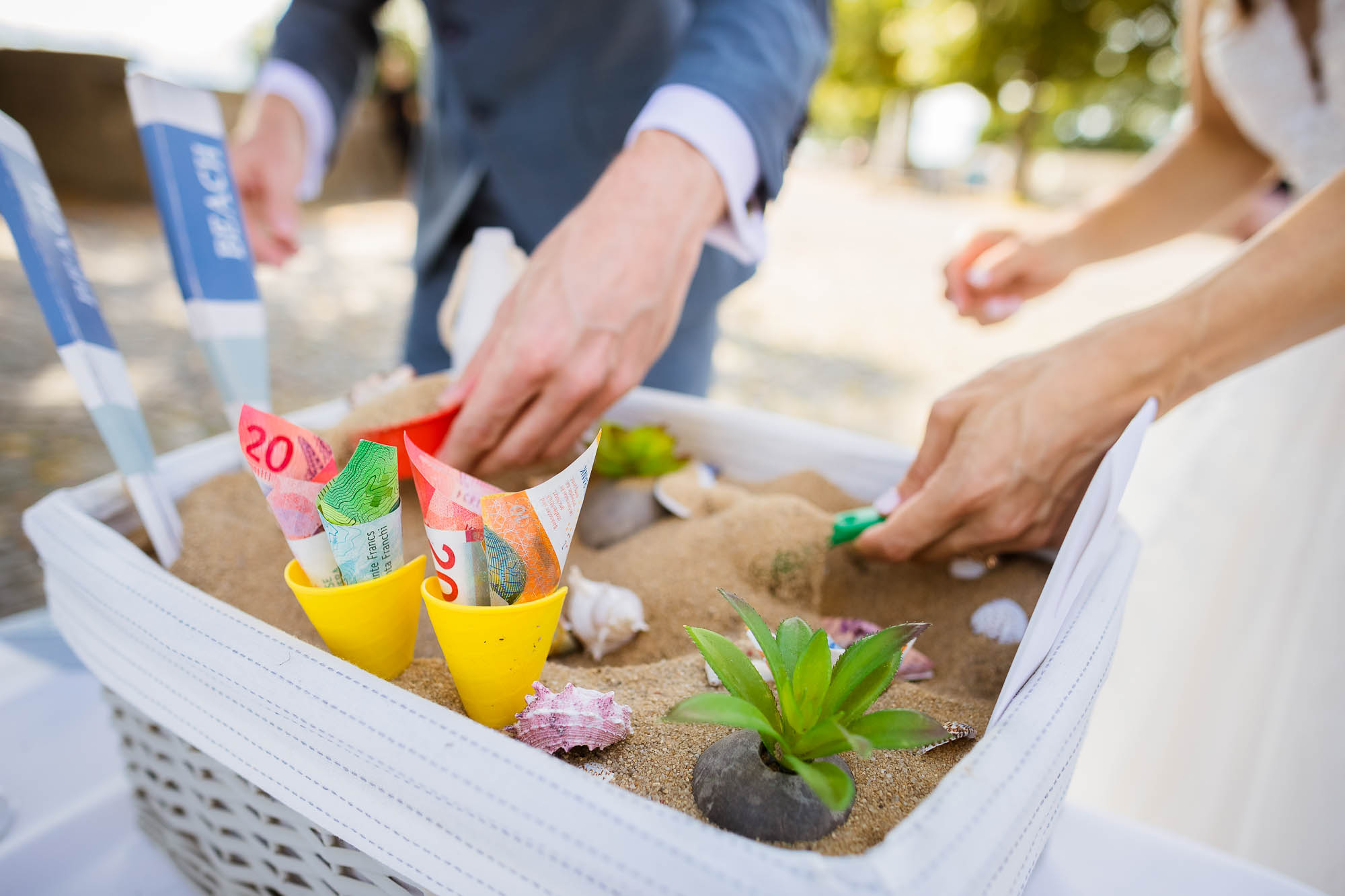 Export x3 1DX23490 Hochzeit 2020 Muriel & Trevor